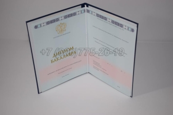 Диплом Бакалавра 2025г ГОЗНАК в Кургане