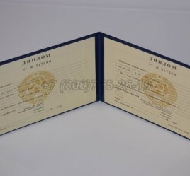 Диплом Техникума Украинской ССР в Кургане
