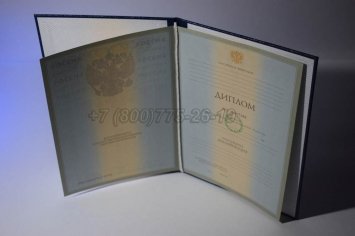 Диплом Университета 2008г в Кургане
