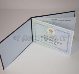 Аттестат Доцента 2020г в Кургане