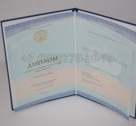 Диплом Колледжа 2022г СпецБланк в Кургане