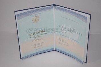 Диплом Колледжа 2022г СпецБланк в Кургане