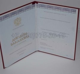 Красный Диплом Бакалавра 2023г Киржач в Кургане