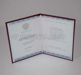 Аттестат За 11 Класс 2021г Золото ГОЗНАК в Кургане