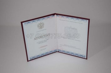 Аттестат За 11 Класс 2021г Золото ГОЗНАК в Кургане