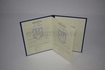 Диплом Бакалавра Украины 1996г в Кургане