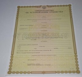 Свидетельство об Установлении Отцовства 2018г в Кургане