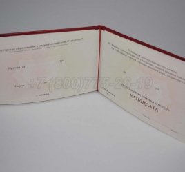 Диплом Кандидата Наук 2017г в Кургане