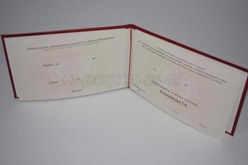 Диплом Кандидата Наук 2017г в Кургане