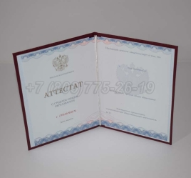Аттестат За 11 Класс 2024г Золото ГОЗНАК в Кургане