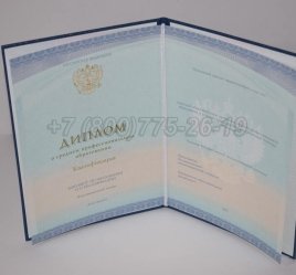 Диплом Техникума 2023г СпецБланк в Кургане