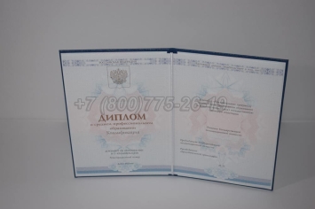 Диплом Техникума 2025г ГОЗНАК в Кургане