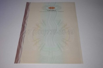 Академическая Справка ВУЗа 2017г в Кургане