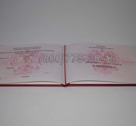 Диплом Кандидата Наук 2016г в Кургане