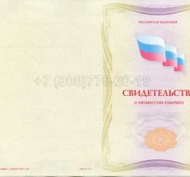 Свидетельство о Профессии Рабочего "Автоклавщик литья под давлением" в Кургане