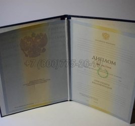 Диплом Института 2010г в Кургане