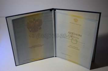 Диплом Института 2010г в Кургане