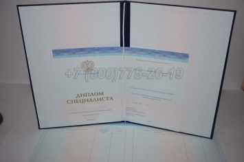 Диплом о Высшем Образовании 2025г СпецБланк в Кургане