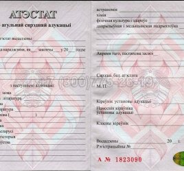 Аттестат о Полном Среднем Образовании Беларуси 2016г в Кургане