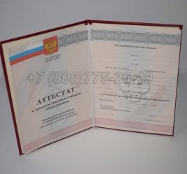 Аттестат За 11 Класс 2012г Серебро в Кургане