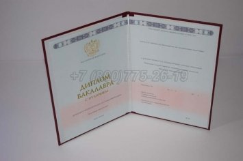 Красный Диплом Бакалавра 2022г ГОЗНАК в Кургане