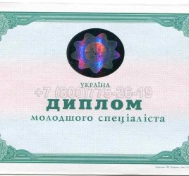 Диплом Техникума Украины 2002г в Кургане