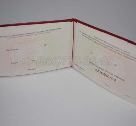Диплом Кандидата Наук 2023г в Кургане