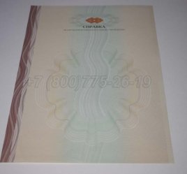Академическая Справка ВУЗа 2022г в Кургане