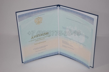 Диплом Колледжа 2025г СпецБланк в Кургане