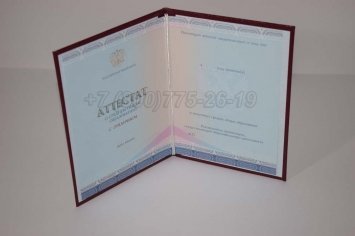 Аттестат За 11 Класс 2022г Золото СпецБланк в Кургане