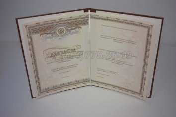 Диплом Интернатуры 2016г в Кургане
