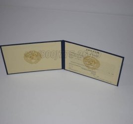 Диплом Техникума Советского Союза 1995г в Кургане