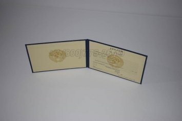 Диплом Техникума Советского Союза 1995г в Кургане
