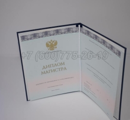 Диплом Магистра 2024г ООО "Знак" в Кургане
