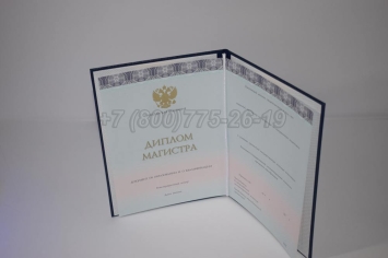 Диплом Магистра 2024г ООО "Знак" в Кургане