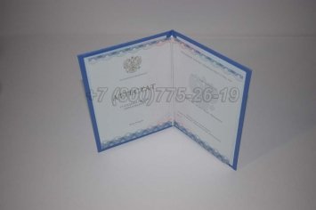 Аттестат За 11 Класс 2022г ГОЗНАК в Кургане