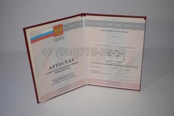 Аттестат За 11 Класс 2010г Серебро в Кургане