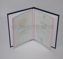 Диплом Колледжа 2007г в Кургане